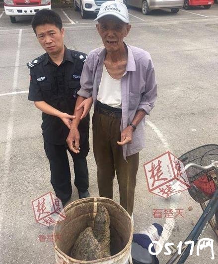 老汉菜地捡到大龟 费尽力气才将它送警局求助