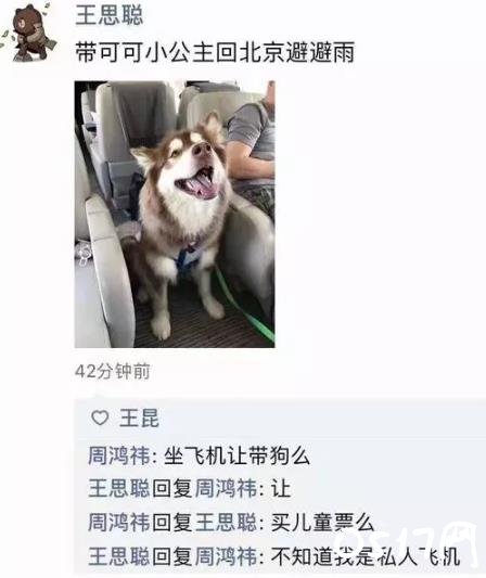 王思聪带狗坐飞机 霸气回应称乘坐的是自己的私人飞机