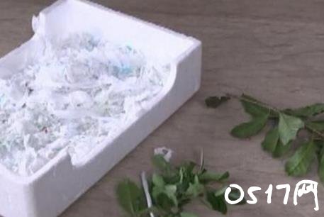 卫生巾竟成垫箱纸 带血卫生巾做垫箱纸实在太恶心