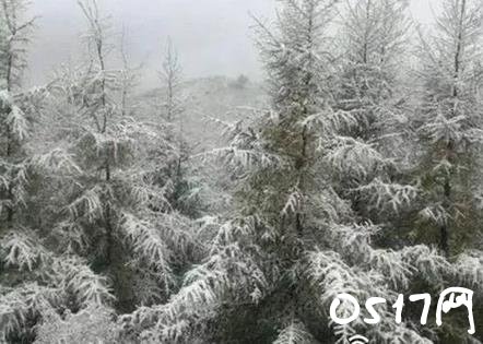 北京降雪 网友好奇北京怎么降雪了