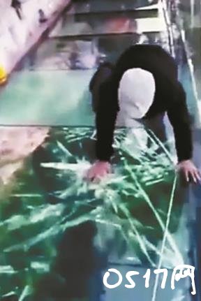 玻璃栈道碎裂特效吓坏游客 做这种特效难道想走红吗