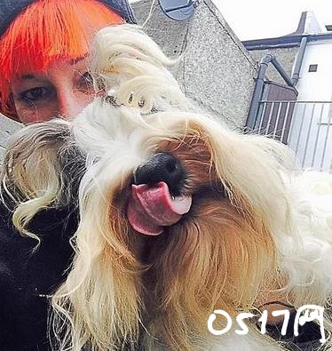 英国女子与爱犬结婚八年 网友:真是太稀奇