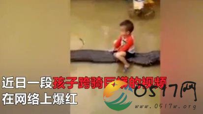 男童身骑80公斤巨蟒视频曝光 男童果真不害怕吗