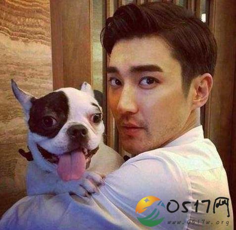 崔始源斗牛犬咬死邻居 网上发文对死者表达哀悼