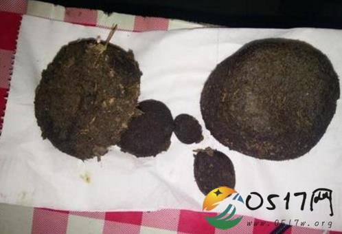 男子杀羊疑获羊宝 专家却称羊宝并不存在