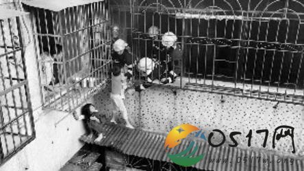 小姐弟火中逃生 自救意识很强捂住口鼻防止吸入烟尘