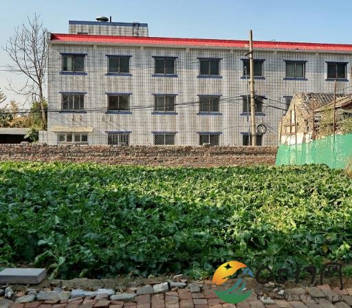 北京前门现黄金菜地 土地单价超过10万元