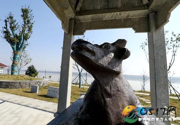 美到无法呼吸,这样的淮安运河你见过吗?