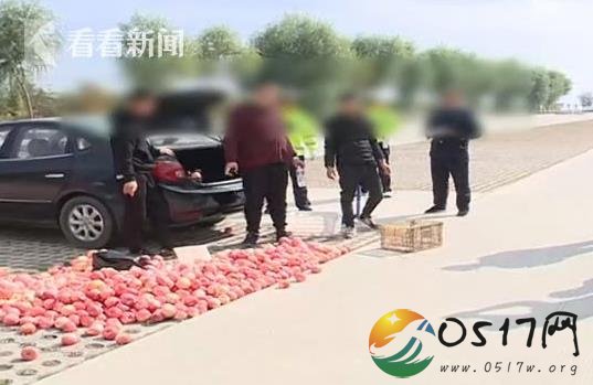 三男子半小时偷480斤苹果 打开后备箱让人傻了眼