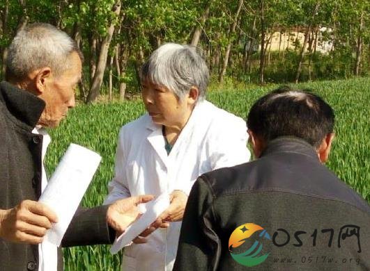 淮安区苏嘴镇公共卫生战线上的四棵“常青树”