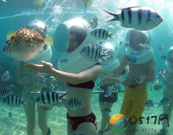中国女泰国潜水溺亡 疑是过度紧张导致溺水事故