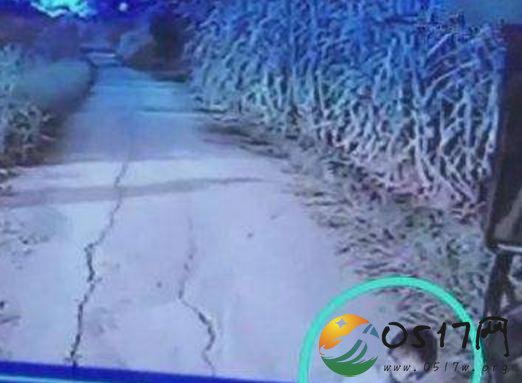 抱女生开车撞死男童 辩称只是关爱和开玩笑举动