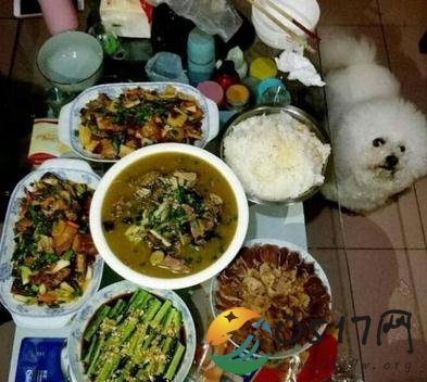 背20斤食材宿舍做饭 珍惜与室友在一起的时光