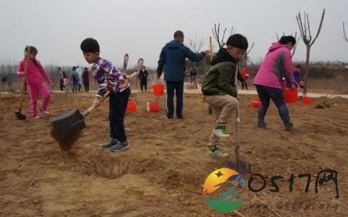 中国兴起网络植树热 只要网络捐款就能植树