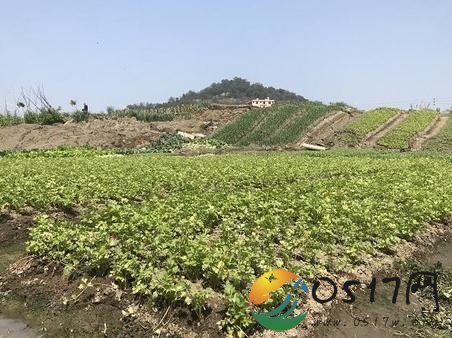 菜地突然隆起3米高 究竟是什么造成这坏现象