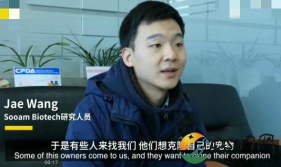 韩国60万元可克隆爱犬 现在的科技真是强大