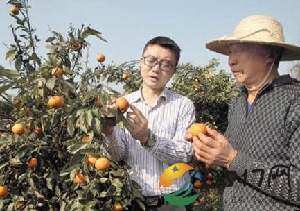 男子放弃高薪回乡当村官 让家乡变样是他的目标