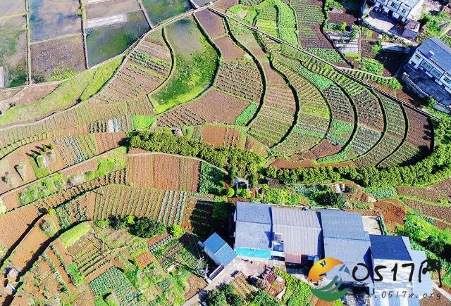 800亩梯田孕育春苗 让人流连忘返不舍离开