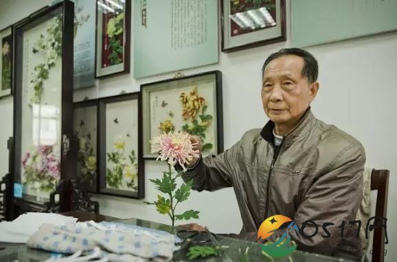 扬州78岁老人身怀绝技 竟然精通通草花技艺