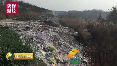 致命垃圾坑现四川 致命垃圾坑从何而来