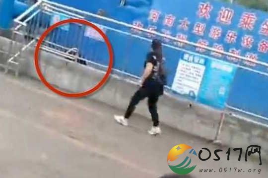 游乐设施安全锁扣脱落 男子坠落当场身亡