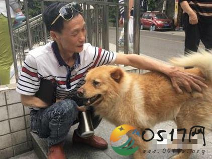 重庆车站忠犬走红 这个狗怎么走红的
