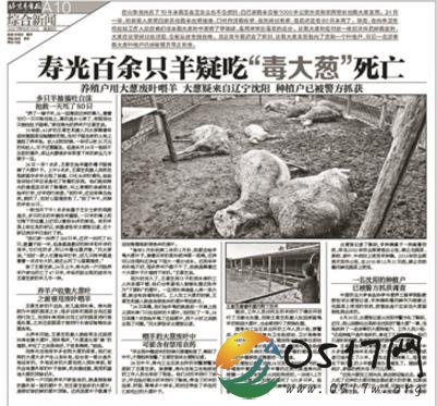 大葱毒死羊案获刑 高毒农药甲拌磷竟是罪魁祸首