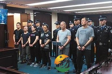 中国最大盗版案曝光 盗版书籍危害太大了
