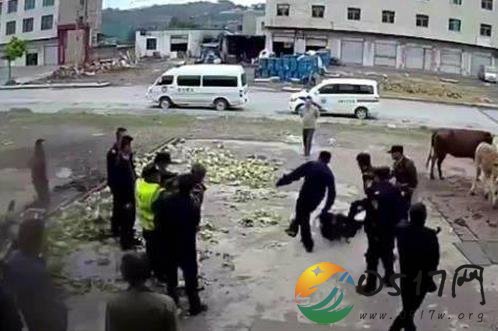 云南城管打人通报 涉事执法人员被开除