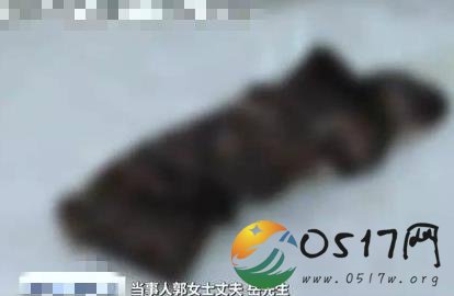 从体内扯出纱布 纱布如何到体内的