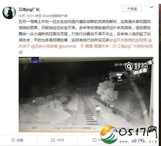 女生遭流浪狗撕咬 疯狗狂追不舍致身体多处咬伤