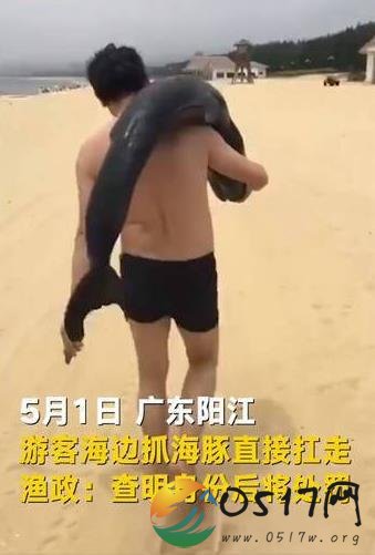 游客疑似活捉海豚 网友:胆子也太大了