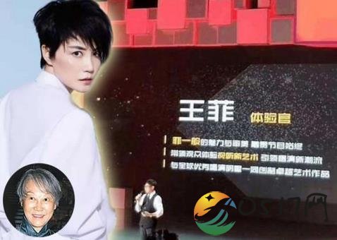 曝王菲真人秀酬劳3亿 明星参加真人秀酬劳竟然这么高