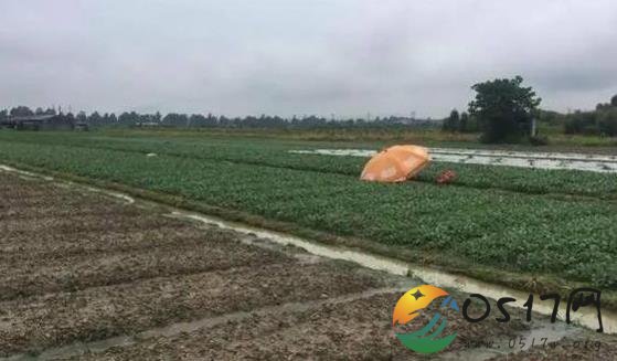 男子遭雷击身亡 田地排水没想到遭遇不幸