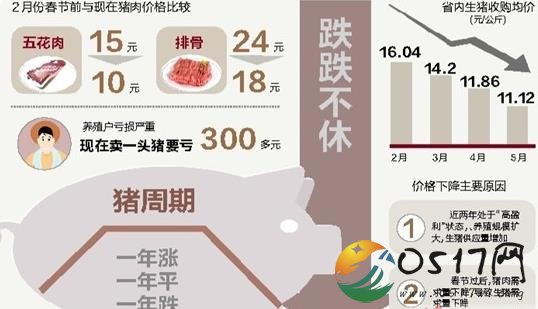 养殖户哭了!一头猪亏300元 不卖亏得更多