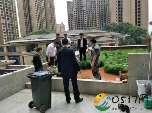 有创意!业主屋顶造空中秧田刷爆朋友圈