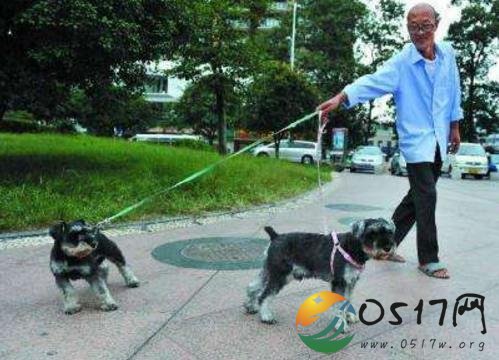 老人公园遛狗中箭 老人被送医后身体虚弱