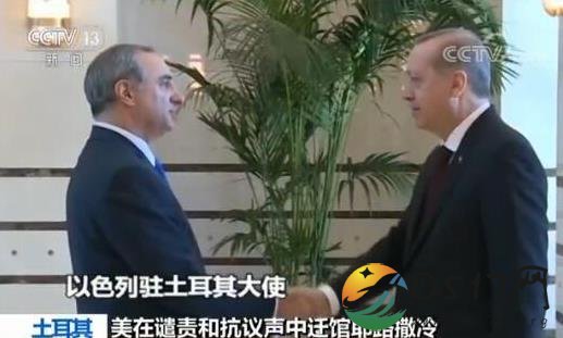 土耳其驱逐以大使 土耳其为何会这么做
