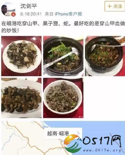 副总食用穿山甲被解聘 以为在国外吃就不犯法了