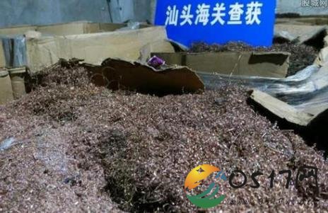汕头破特大走私案 利益驱使致固体废物走私屡禁不止