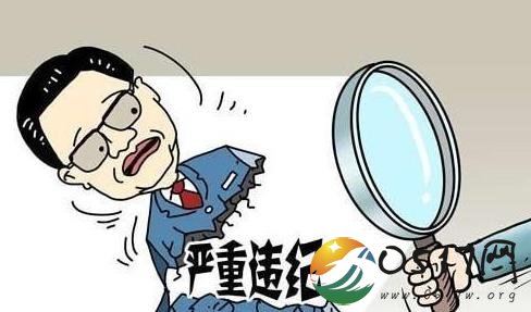 王小辉被双开 王小辉是何许人也
