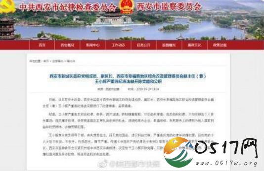 王小辉被双开 王小辉为什么会被双开？