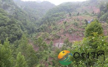 四川万源山体滑坡 是否对当地造成影响