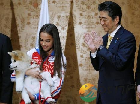 安倍赠送秋田犬给俄花滑冠军 俄花滑冠军表示很开心
