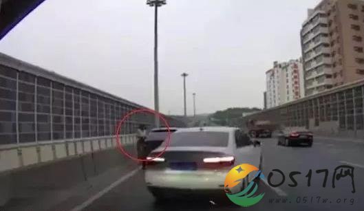 高架停车救小猫 这么做是正确的还是错误的