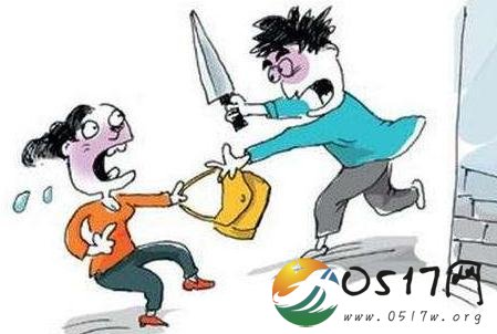 华人武术教师擒匪 帮助中国游客追回失物
