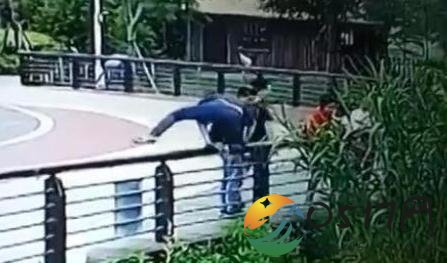 男子逛动物园掏鸟蛋 最终男子自食恶果被拘留