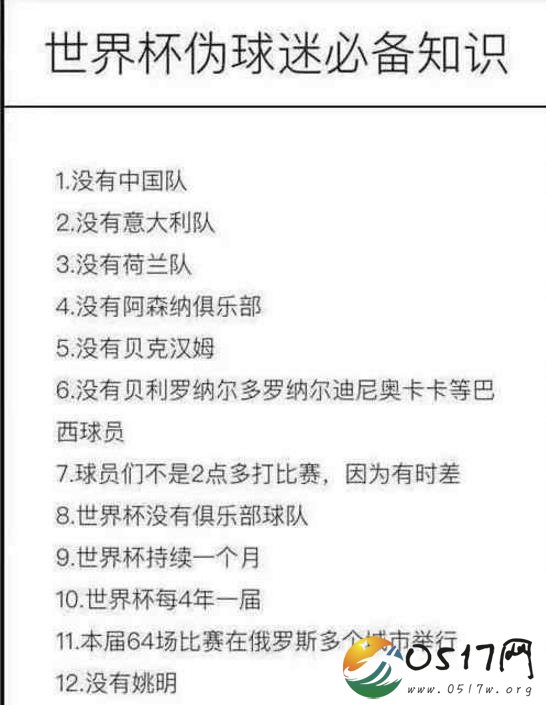 世界杯女生扫盲指南 不少人都是伪球迷