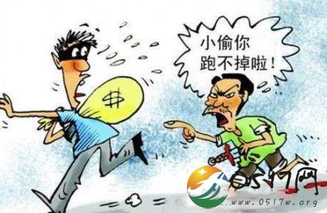 小偷失主家酣睡 被抓后振振有词称只拿了两件