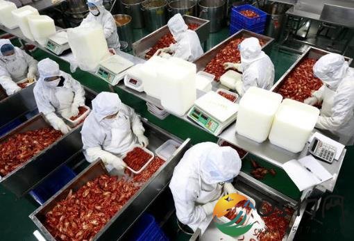品虾师年薪30万 每天吃上百只小龙虾让人羡慕